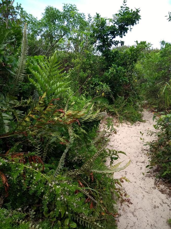 FlorianópolisCasa Da Marilu Prime别墅 外观 照片